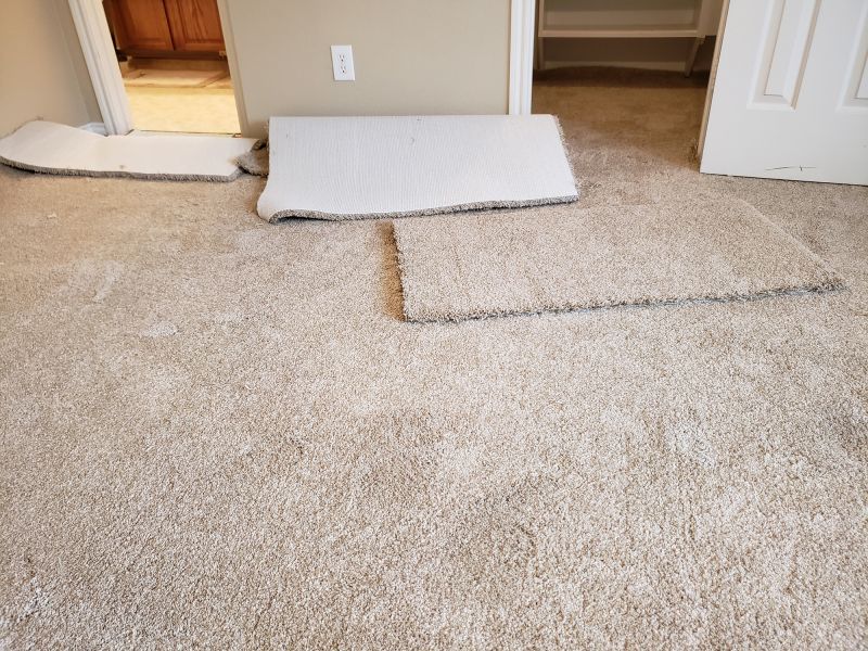 Residential Carpet Repair in Alpharetta, GA