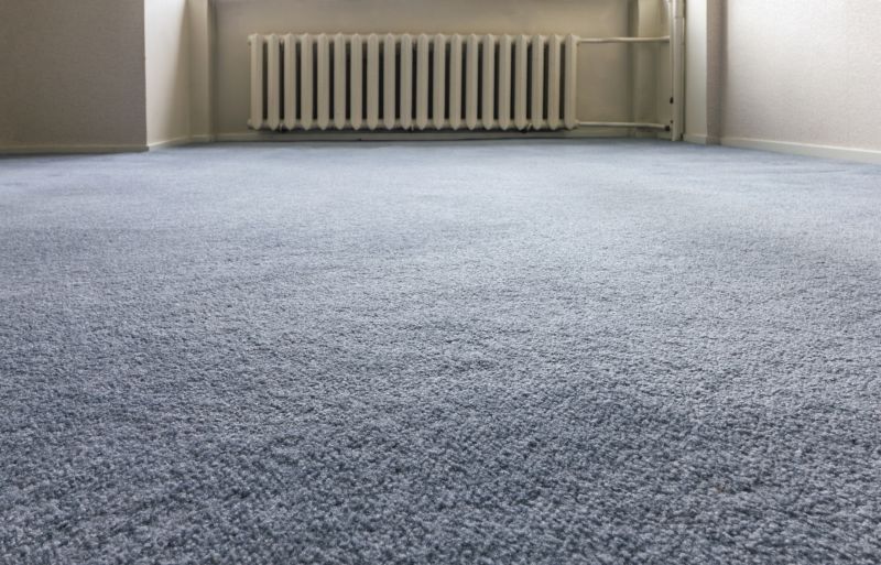 Carpet Burn Repair in Denver County, CO