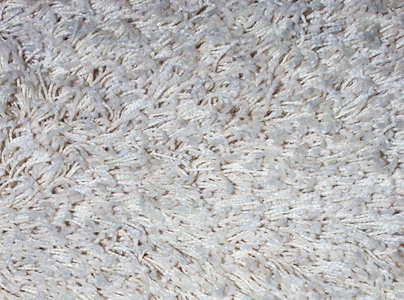 Carpet Smoothing in Denver County, CO
