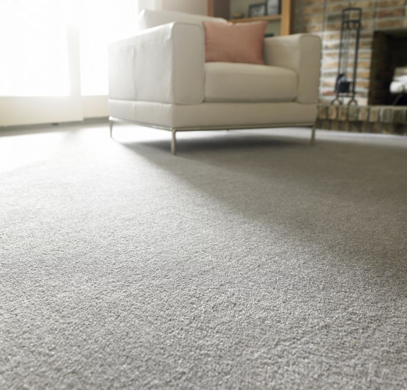Luxury Carpet Installation in Freehold, NJ