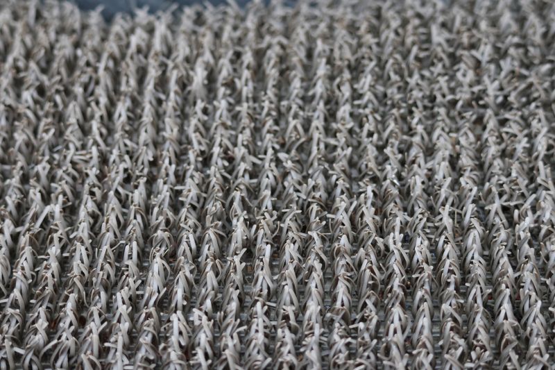 Residential Carpet Repair in Littleton, CO