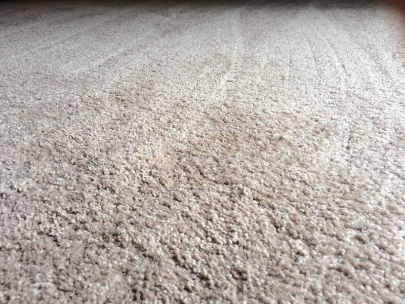 Soft Carpet Installation in Freehold, NJ